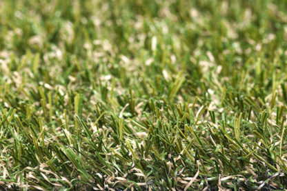 Artifical Grass - Image 12