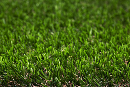 Artifical Grass - Image 11