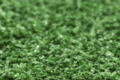 Artifical Grass - Image 10