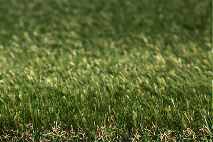 Artifical Grass - Image 7