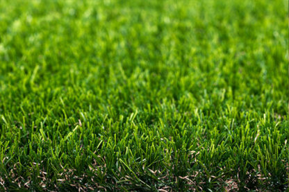 Artifical Grass - Image 3